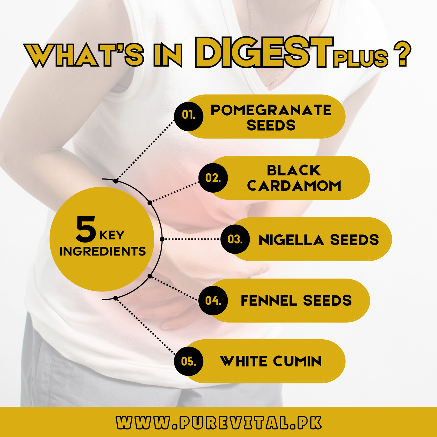 Digest Plus (100g)